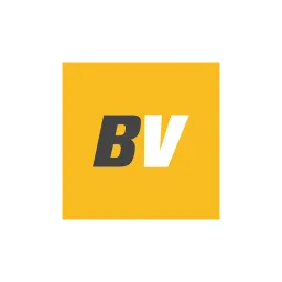 b8visa.com's brand icon