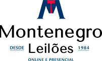 Montenegro Leilões's logos