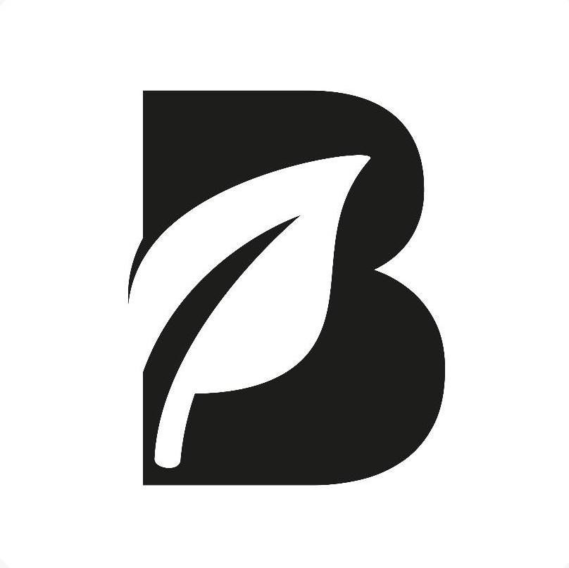 Blife's logos