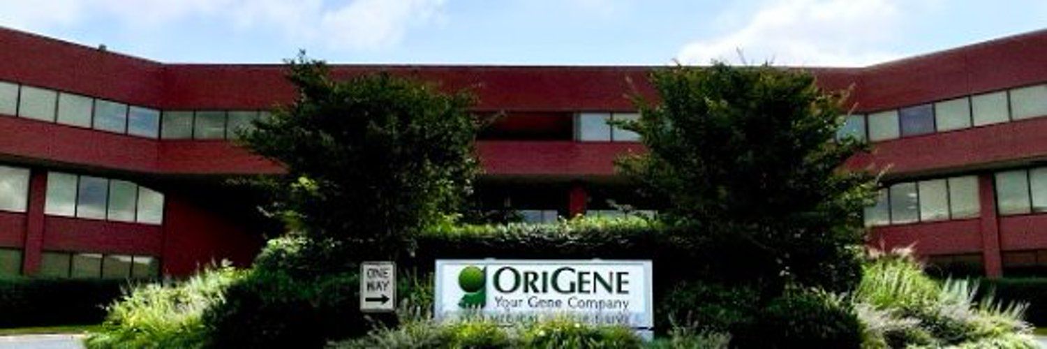 OriGene's images