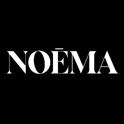 Noema Magazine's brand icon