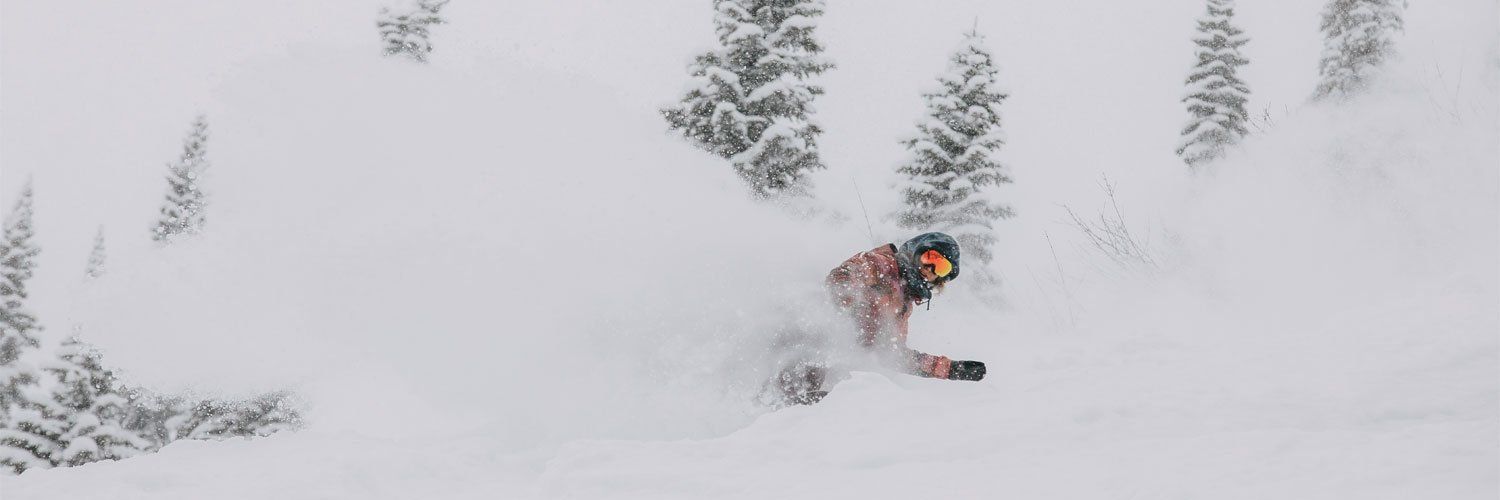 Burton Snowboards's images