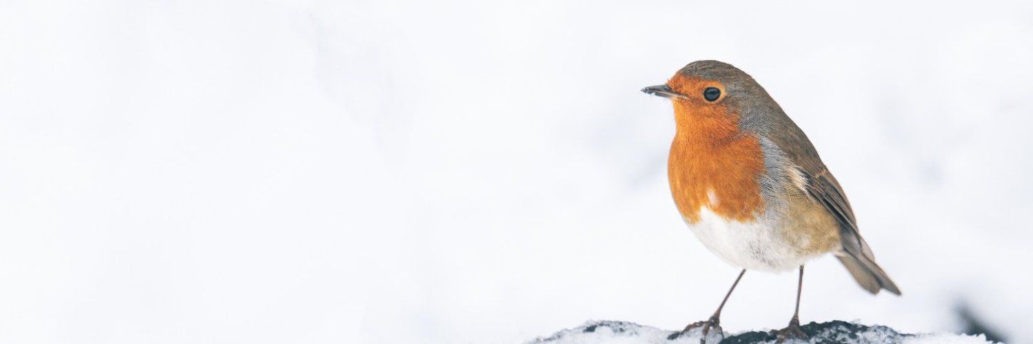 RSPB's images