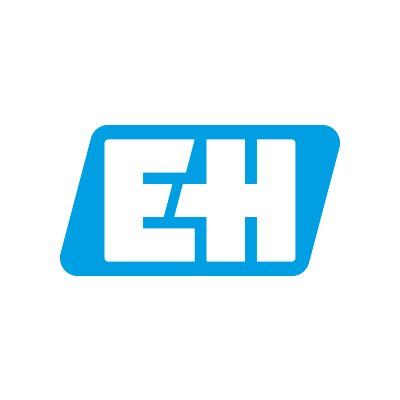 Endress+Hauser Group's brand icon