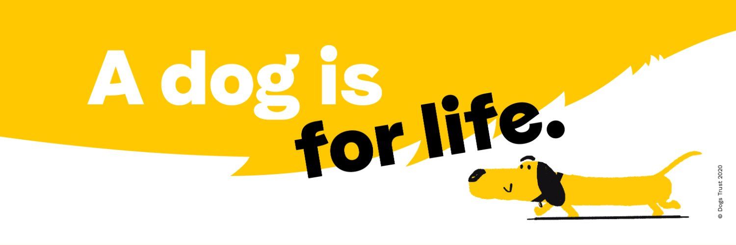 Dogs Trust's images