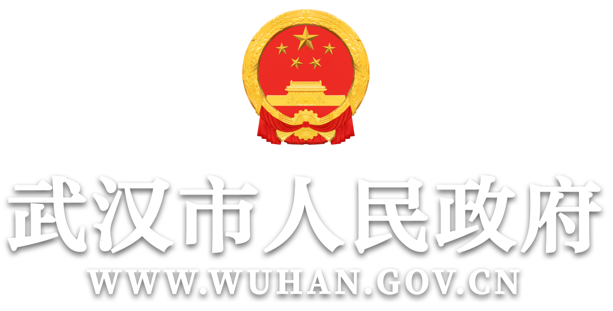 wuhan.gov.cn's logos