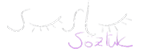 süslü sözlük's logos