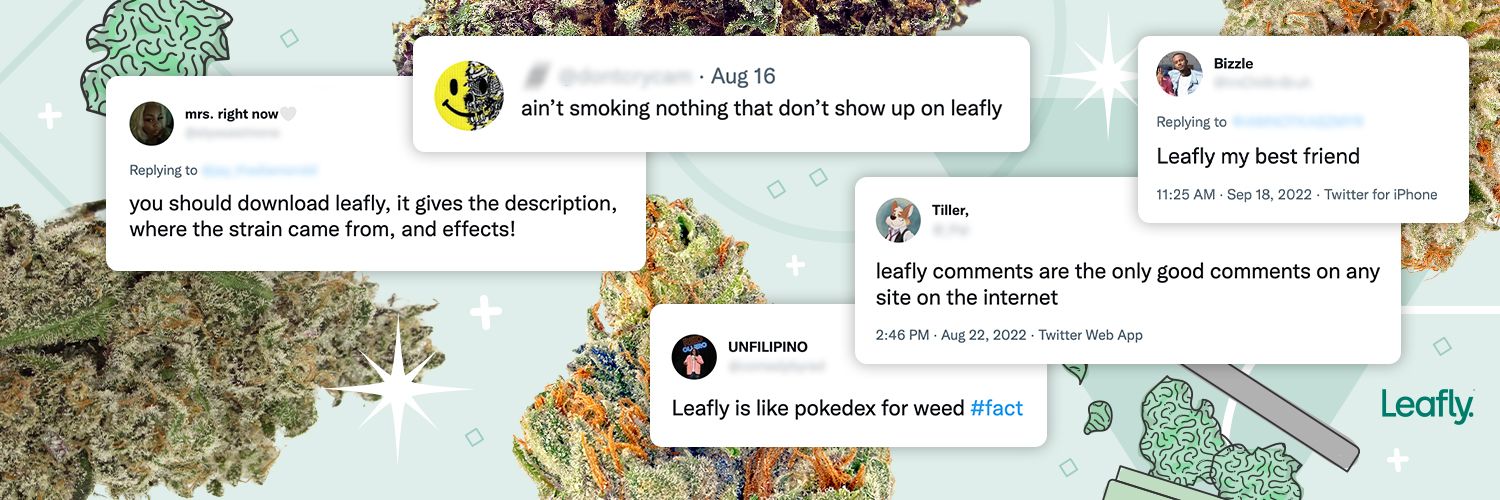 Leafly's images