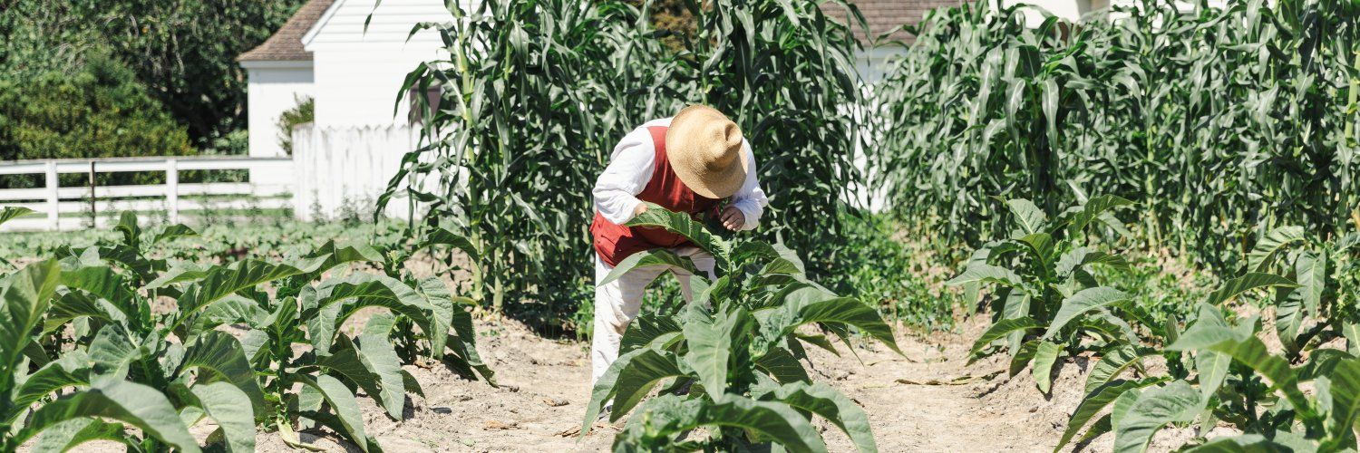 Colonial Williamsburg's images