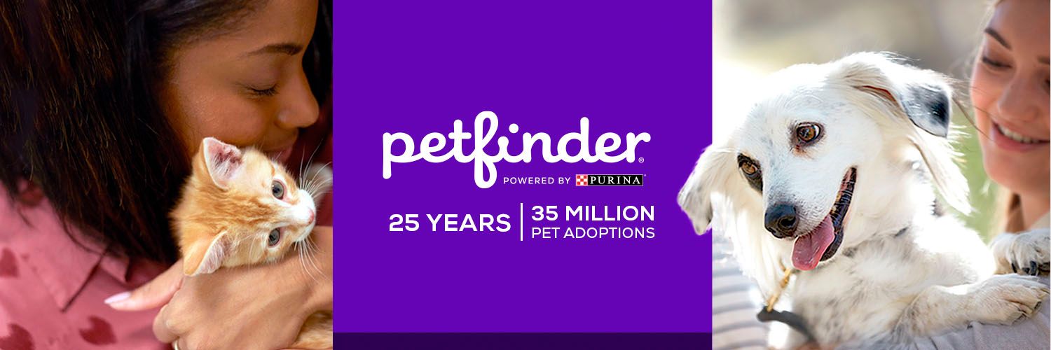 Petfinder's images