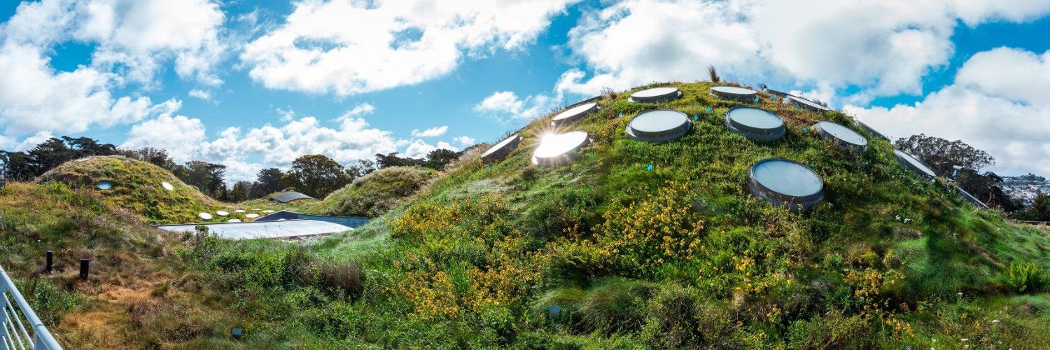 California Academy of Sciences's images