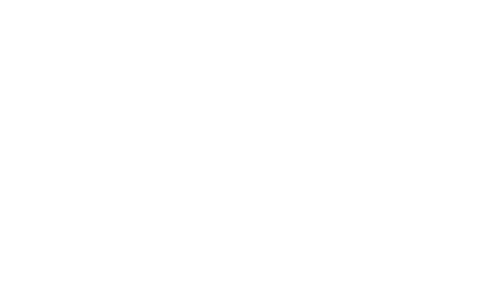 Visit North Carolina's logos