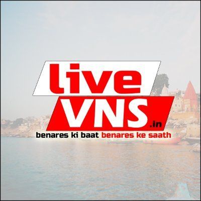 Live VNS's brand icon