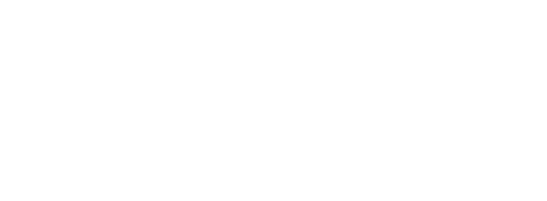 American Military News's logos