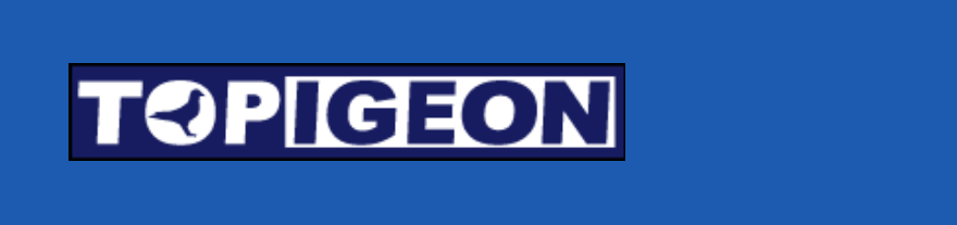 Topigeon's logos