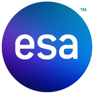 Entertainment Software Association's brand icon