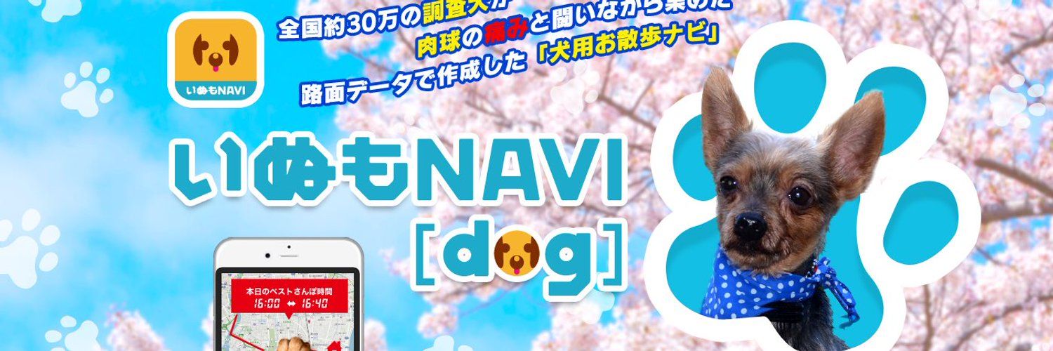 いつもNAVI's images