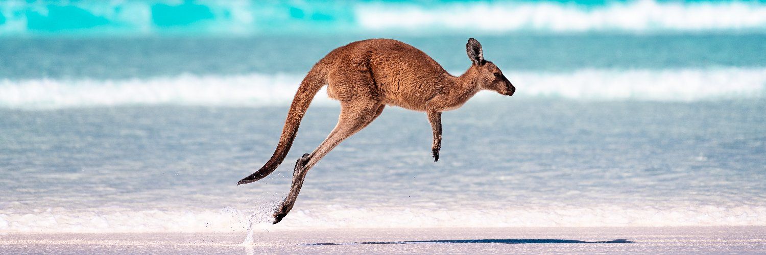 Australian Geographic's images