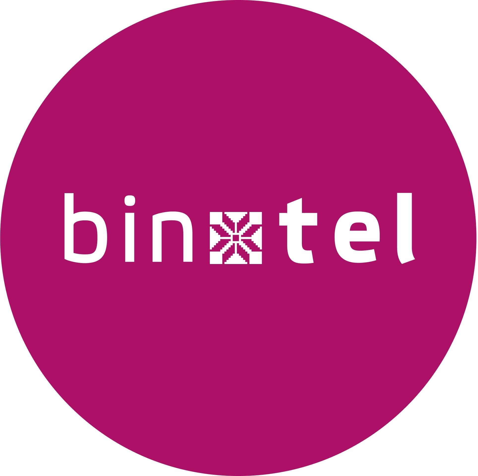 Binotel's brand icon