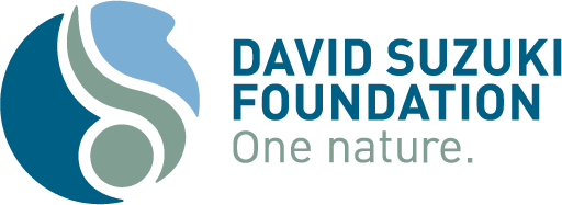 David Suzuki FDN's logos