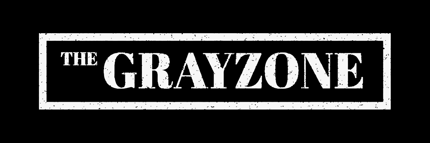 The Grayzone's images