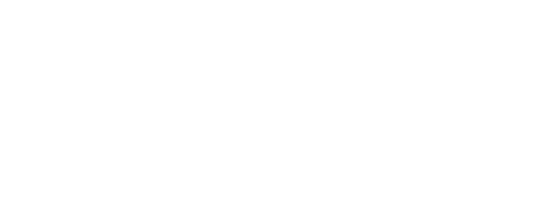 mscwifi.com's logos