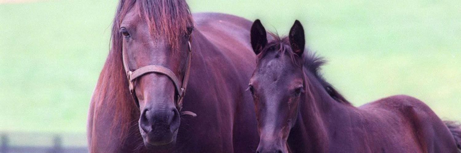 U.S. Trotting Assn.'s images