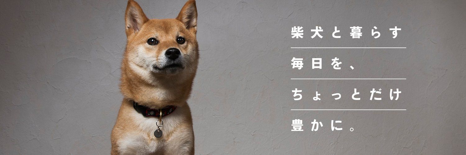 柴犬ライフ（Shiba's images