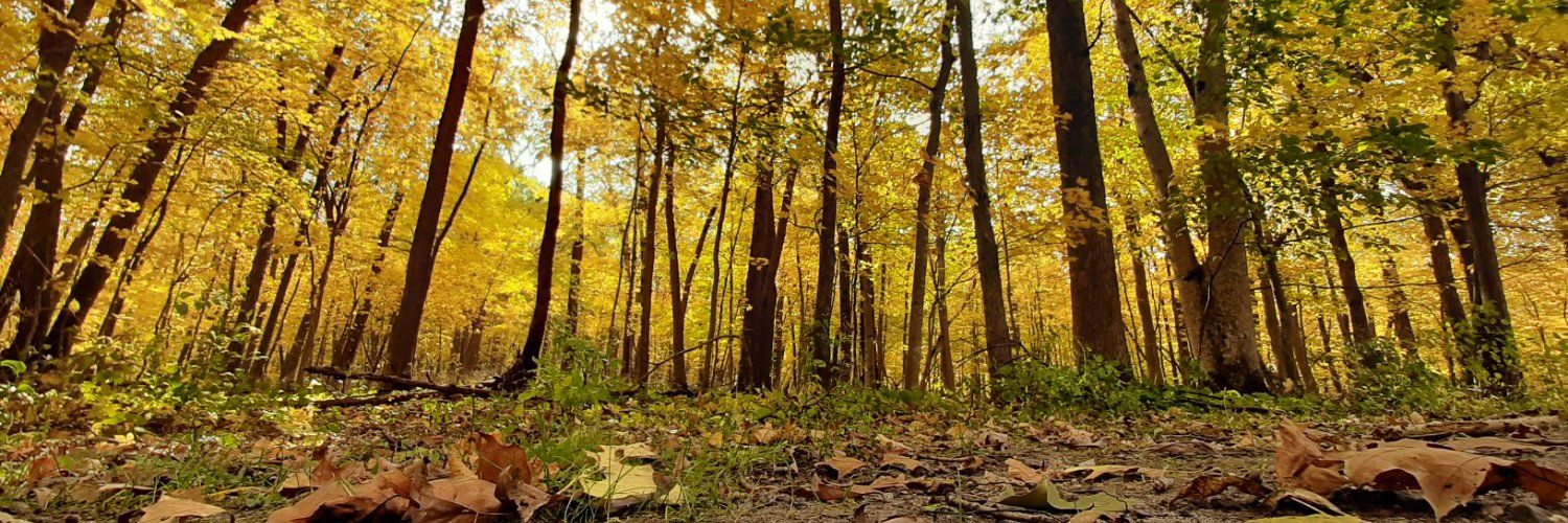 Iowa DNR's images