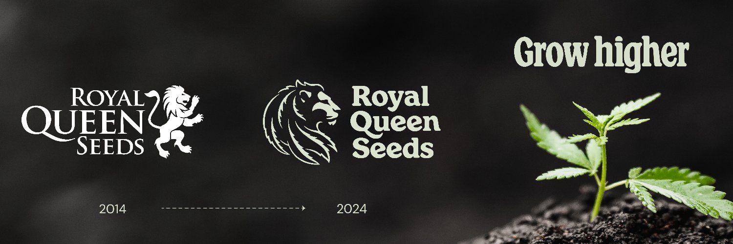 Royal Queen Seeds's images