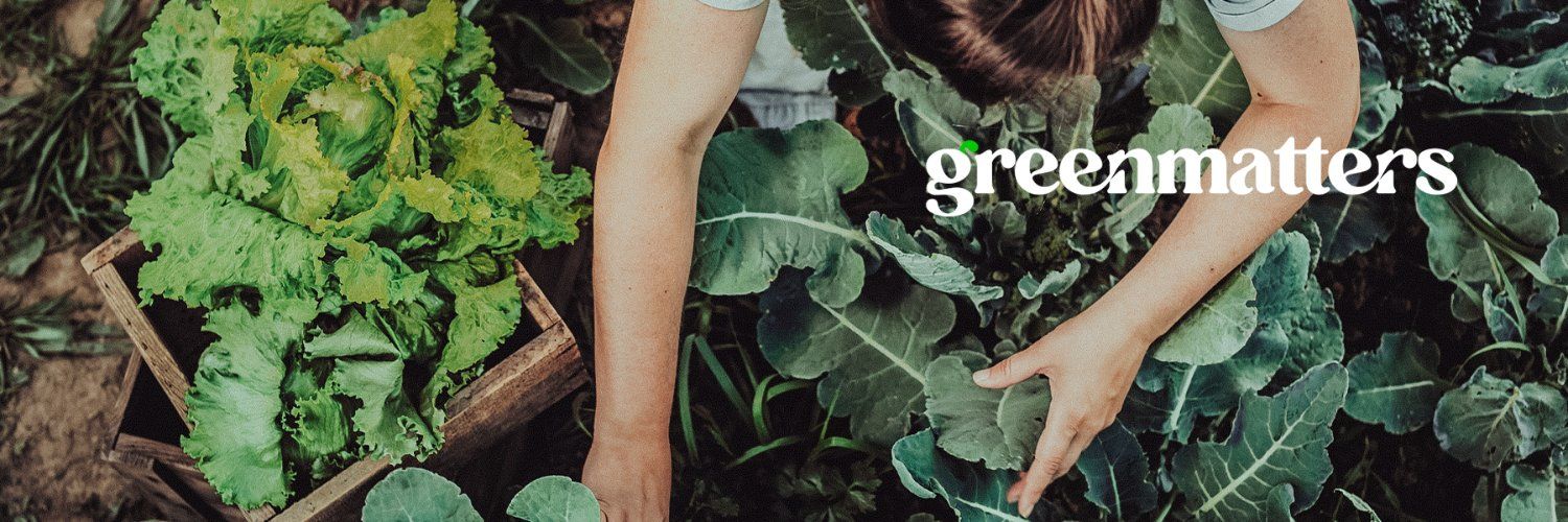 Green Matters ️'s images