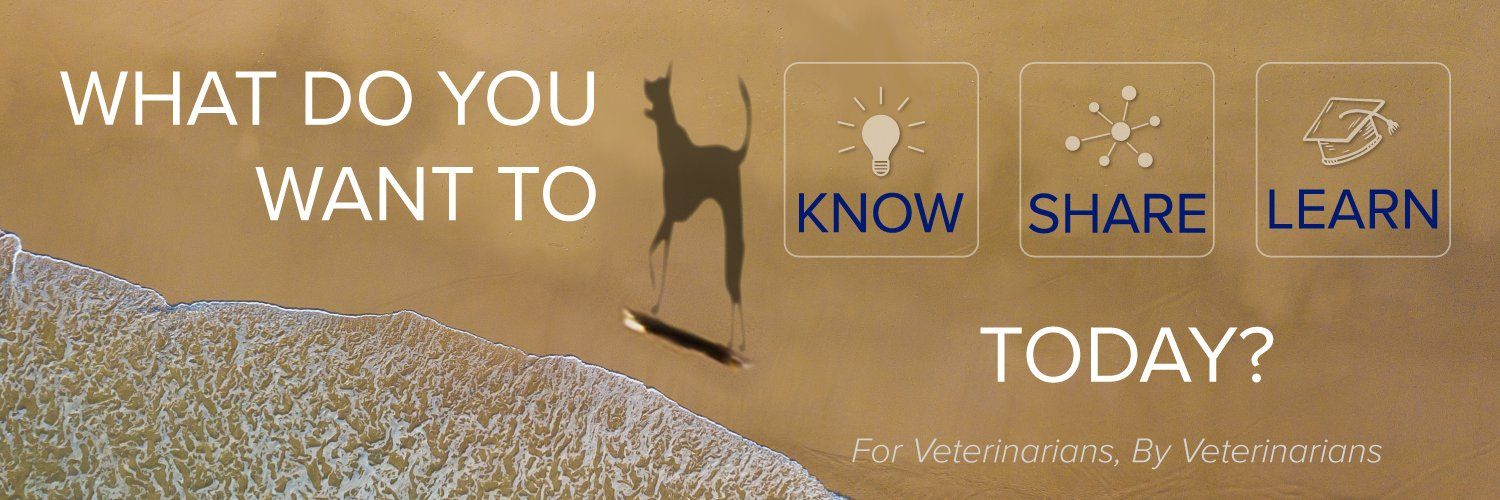 Veterinary Information Network's images