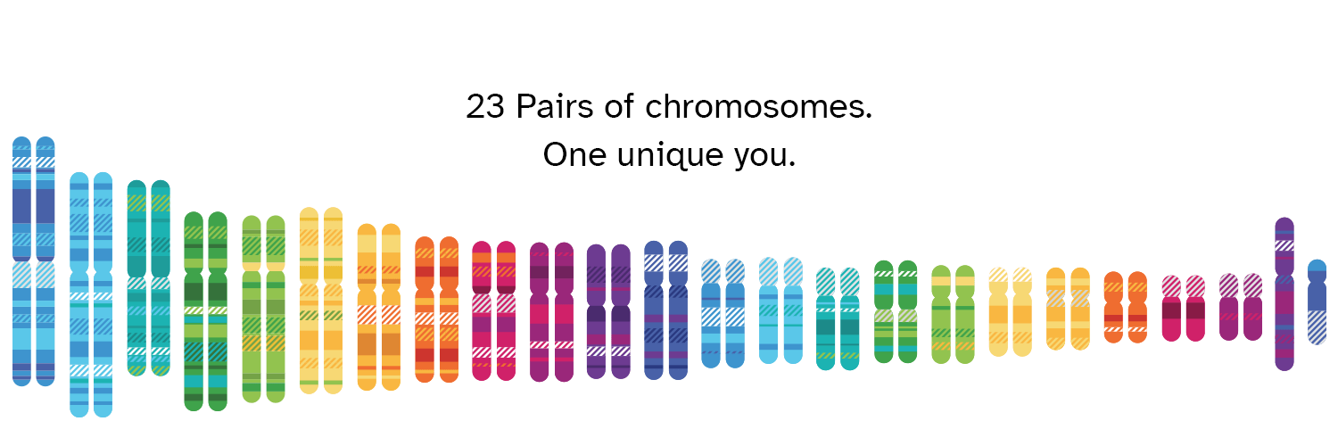 23andMe's images