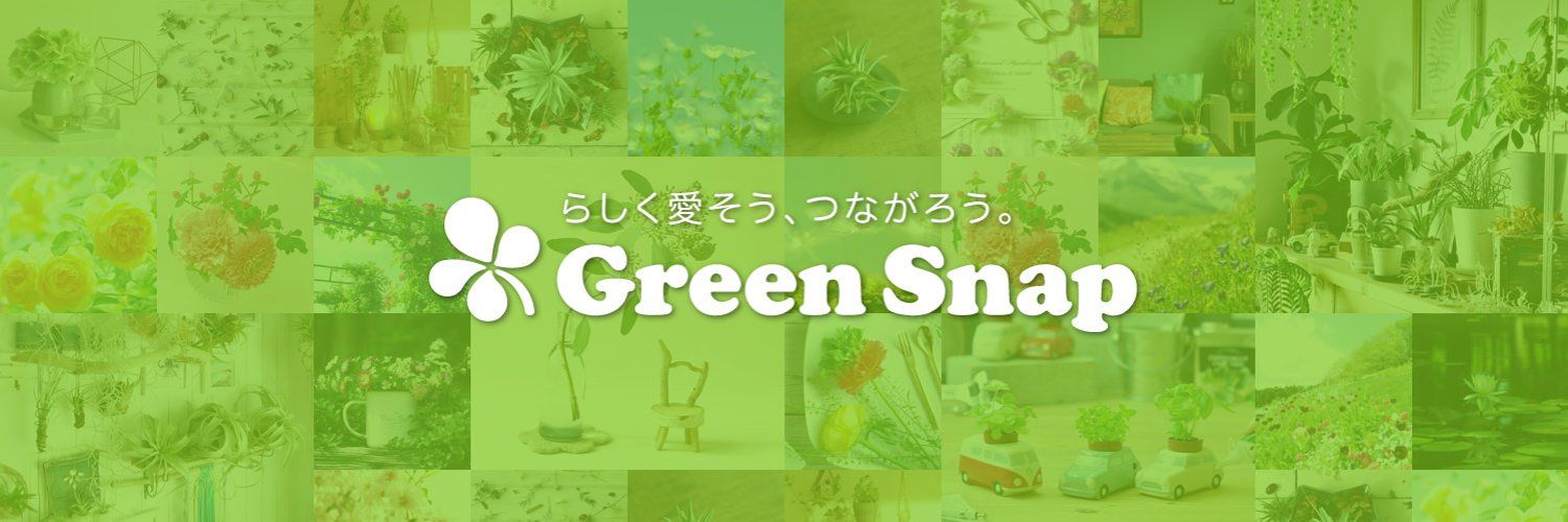 GreenSnap's images