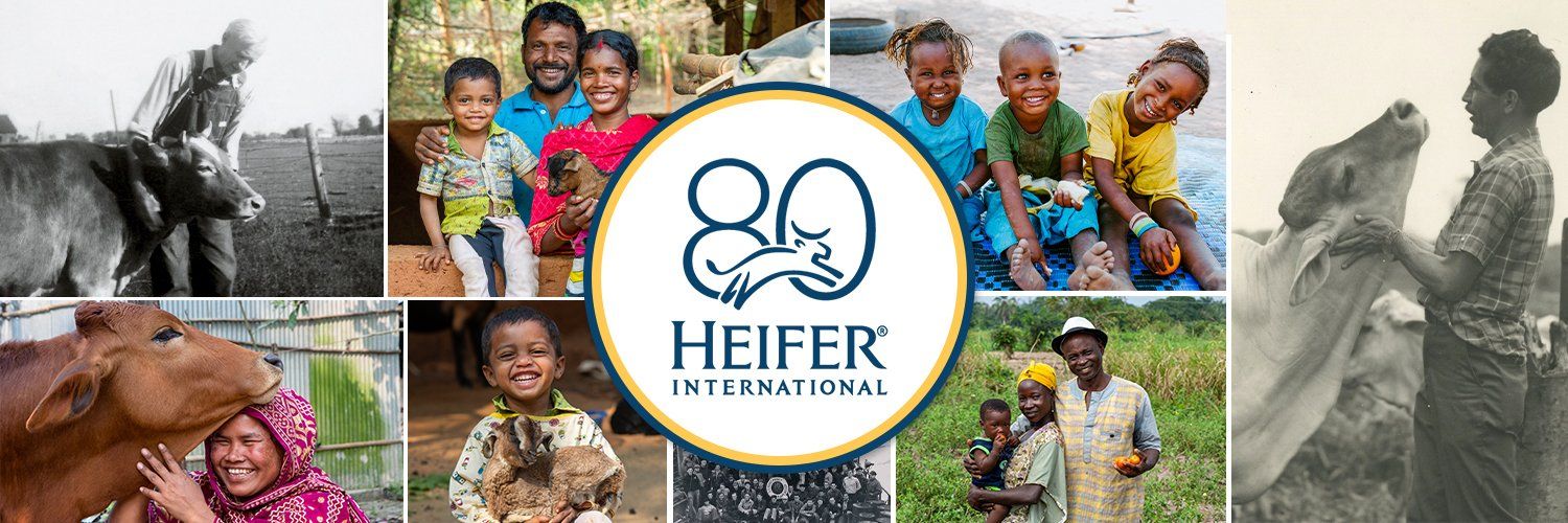 Heifer International's images