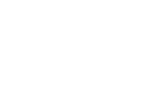 TH Domains's logos