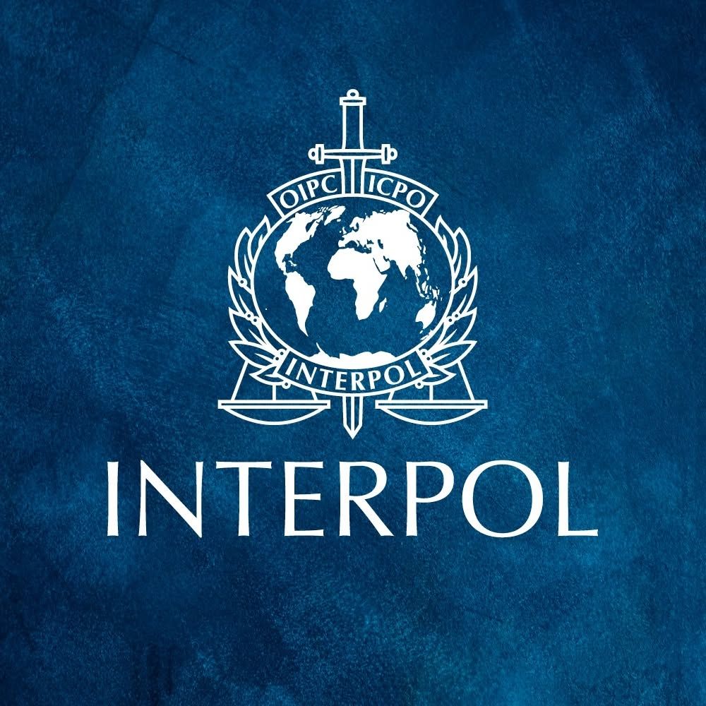 Interpol's brand icon