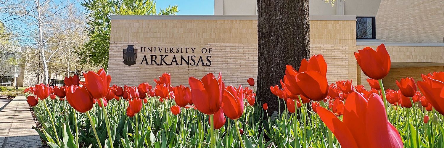 University of Arkansas's images