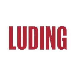 luding.ru's brand icon