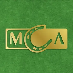 msl.ua's icon