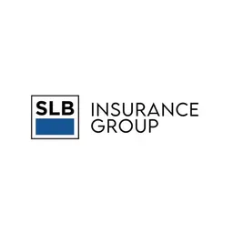 slbig.com's brand icon