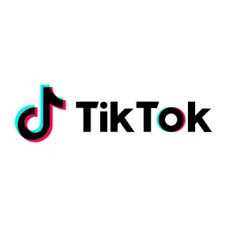 TikTok's brand icon